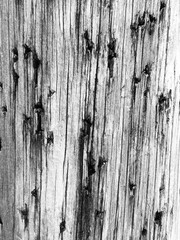 abstract black and white photograph of a wooden power pole