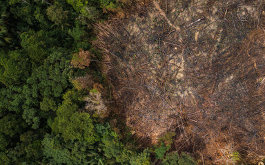 AERIAL IMAGES OF DEFORESTATION IN THE PERUVIAN AMAZON, FORESTS DEFORESTED BY AGRICULTURE AND HUMAN EXPANSION, DESERTIFICATION IN THE PERUVIAN AMAZON