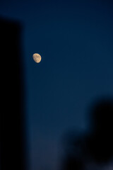 Evening's Lamp Bathed in the fading light of dusk, the moon glows softly against the rich indigo...