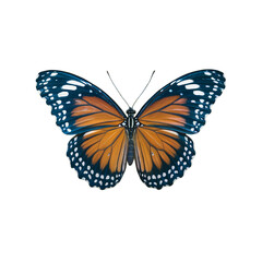 Beautiful orange butterfly with dark blue wings isolated on art macro on transparent background