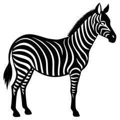Obraz premium Majestic black and white zebra silhouette