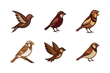 set of sparrow bird vector illustration
