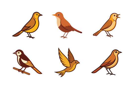 set of nightingale bird vector illustration
