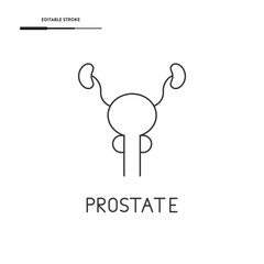 Prostate Icon Vector Design.