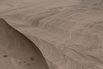 Lines in the sand on a pacific northwest beach