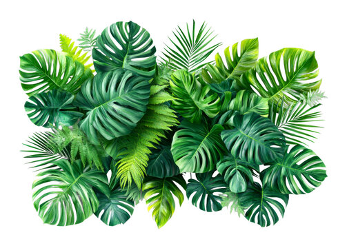 Lush greenery arrangement indoor setting plant composition tropical vibe top-down view cut out on transparent background
