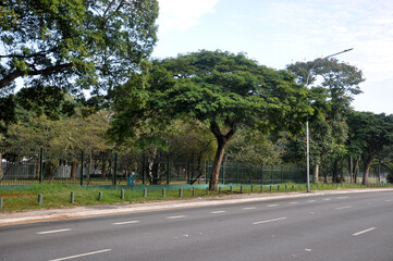 Ibirapuera park- Sao Paulo 