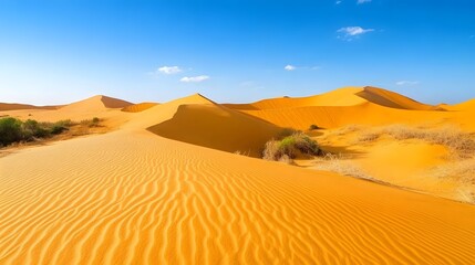 Expansive desert landscape under a clear sky.