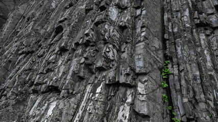 Dark Background of layers and cracks in rock rock. Natural layered stone background or stone texture with green leaves.
