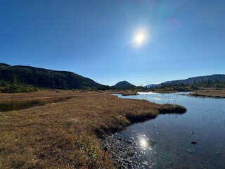 Naklejka premium landscape with lake