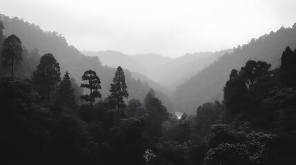 A forest with trees and a river