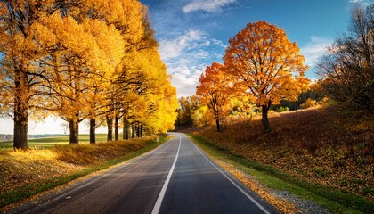 beautiful rural road on a sunny autumn day trees with golden foliage