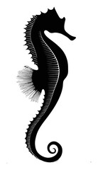 Fototapeta premium Elegant Hand-Drawn Silhouette of a Seahorse in Black and White Style