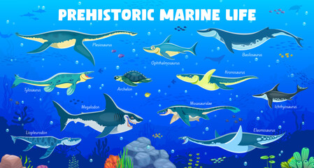 Prehistoric underwater dinosaurs characters infographics with aquatic reptile species, vector museum poster. Prehistoric sea dinosaurs and ocean underwater reptiles with names for dino infographics
