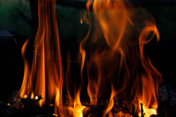 bright fire flame close up

