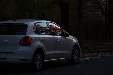 秋・木陰に止まっている白色の自動車