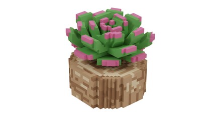 Succulent plant in pixel art style