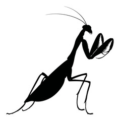 Detailed Silhouette of Hand-Drawn Praying Mantis in Black Art Style