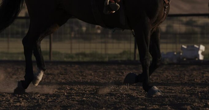 Cinematic slow motion low shot of horse running across dirt - sunset
