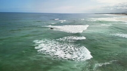 Experience the stunning coastal view featuring picturesque waves and enjoyable beach activities