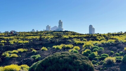 A scenic observatory landscape filled with vibrant flora and greenery to enjoy natures beauty