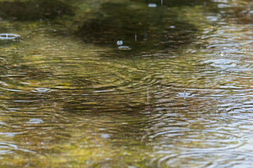 梅雨の季節　川の水面に雨が降る01