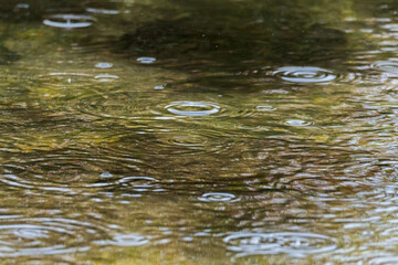 梅雨の季節　川の水面に雨が降る03