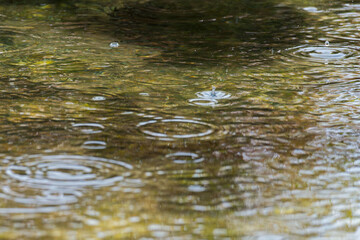 梅雨の季節　川の水面に雨が降る04
