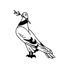 cute pigeon line art