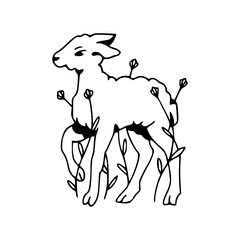 adorable lamb with woolly fleece line art drawing