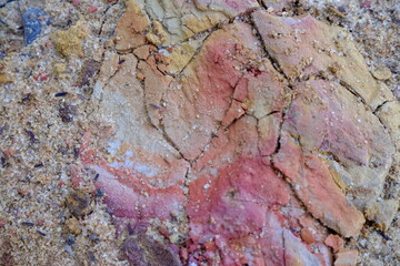 Cracked Clay Soil Texture with Natural Patterns for Mockup Design