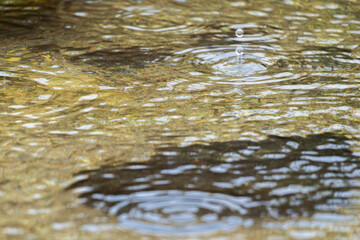 梅雨の季節　川の水面に雨が降る26