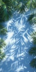 Summer Palm Leaf Shadows on Wall  Tropical Background  Mockup