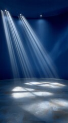 Dramatic Studio Lighting Background  Headshot  Portrait  Yearbook