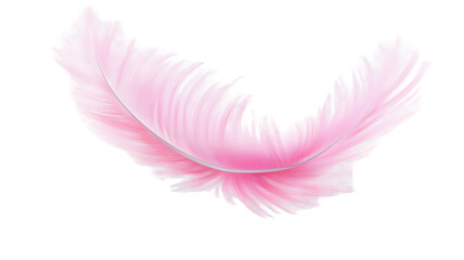 Obraz premium Soft pink feather with delicate barbs and light texture isolated on white background