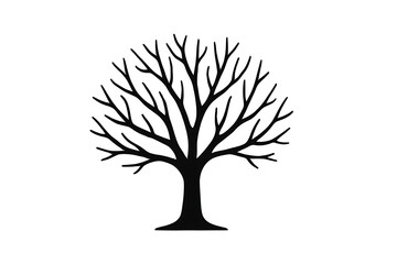 Bare tree silhouette