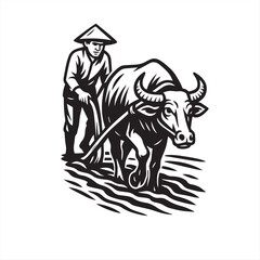 buffalo plowing traditional farming