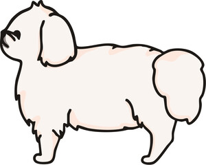 横から見た可愛いペキニーズ（ホワイト）のイラスト