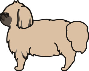 横から見た可愛いペキニーズ（フォーン）のイラスト