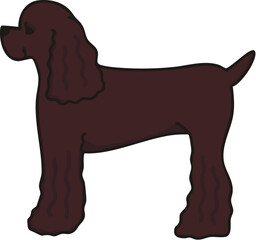 横から見た可愛いアメリカンコッカー（チョコレート）のイラスト