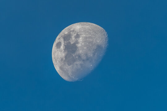 Waxing Gibbous Moon in the later afternoon Winter blue sky