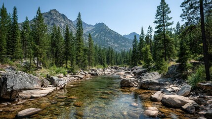Fototapeta premium Mountain river flowing through a lush forest.