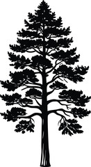 Obraz premium Pine Tree Silhouette Vector, Detailed Evergreen Tree Illustration for Nature and Outdoor Designs