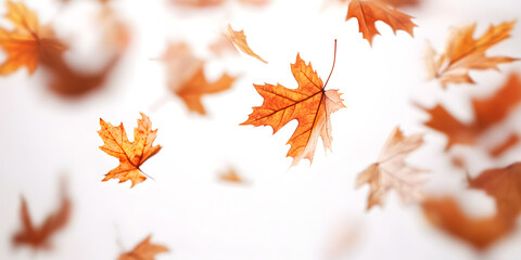 Fototapeta premium Autumn Leaves in Motion: A captivating display of individual autumnal leaves swirling through the air, each bearing its unique shade of orange and brown against a bright backdrop.