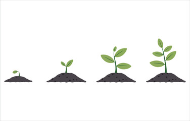 Young plant sprouts vector in soil. Ideal for agriculture, sustainability, and spring designs.