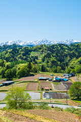 小川村の風景　春　北アルプス