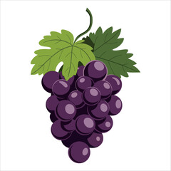 Cartoon grapes vector illustration, country symbol on white background. Ideal for agricultural and vineyard concepts.