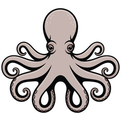 vector illustration of octopus