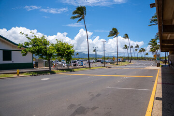Roadside view of palm trees and parking lot under a blue sky with clouds. © porqueno