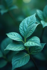Silver-accented teal botanicals, soft bokeh Captivating, enchanted leaf design , enchanted, leaves